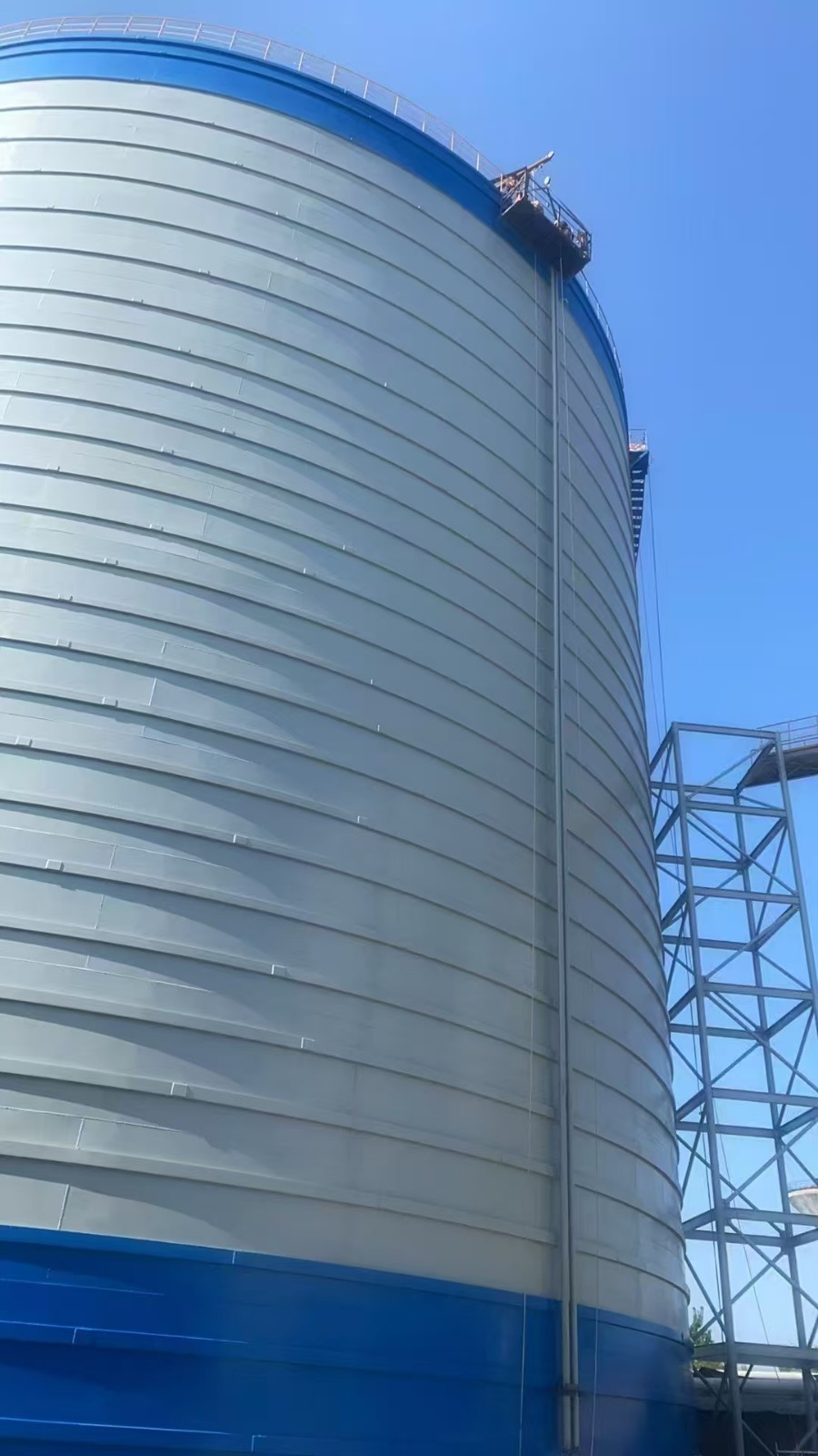 1747819937807381.jpg 3.jpg